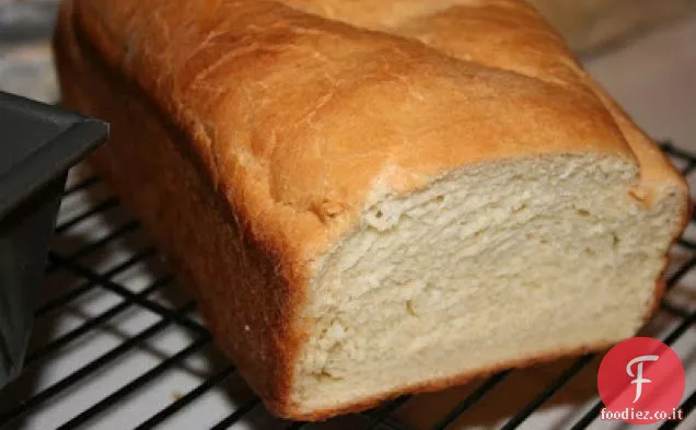 Pane panino bianco di base