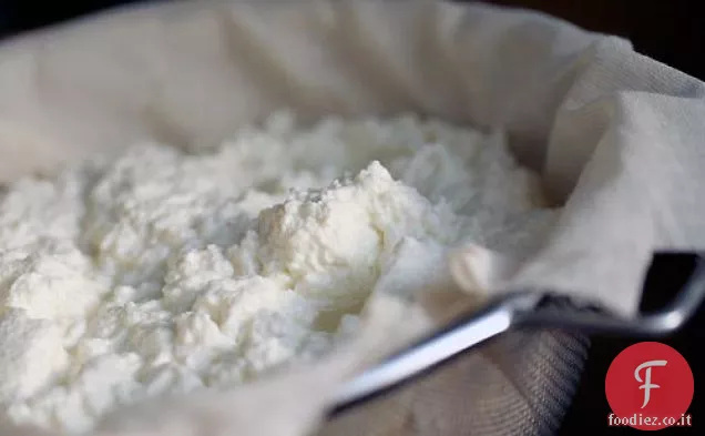 Ricotta fatta in casa