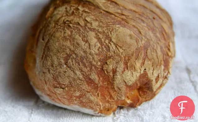 Pane saporito al rosmarino alla zucca