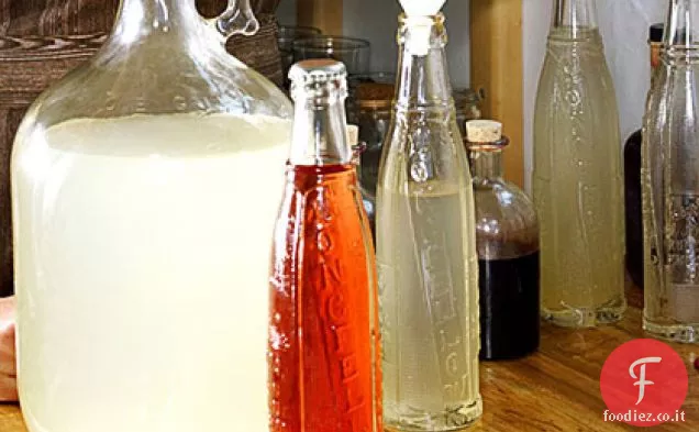 Soda di citronella di agrumi in bottiglia