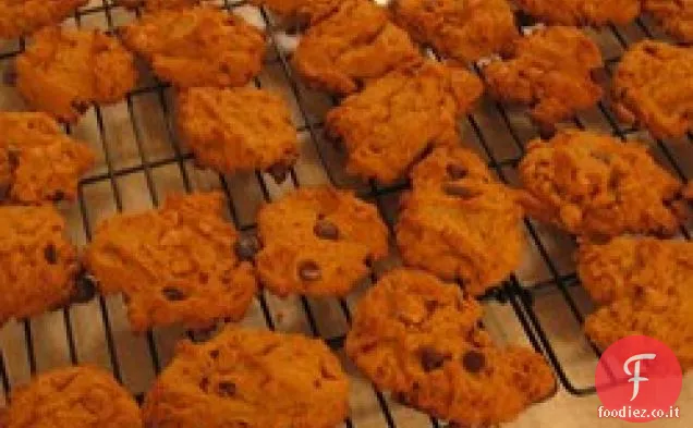 Biscotti di zucca al cioccolato senza uova