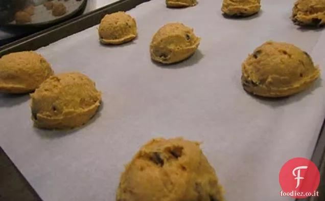 Zucca Gocce di cioccolato Biscotti