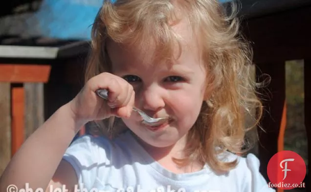 Cioccolato FRAWsties senza latte o Fudgesicles