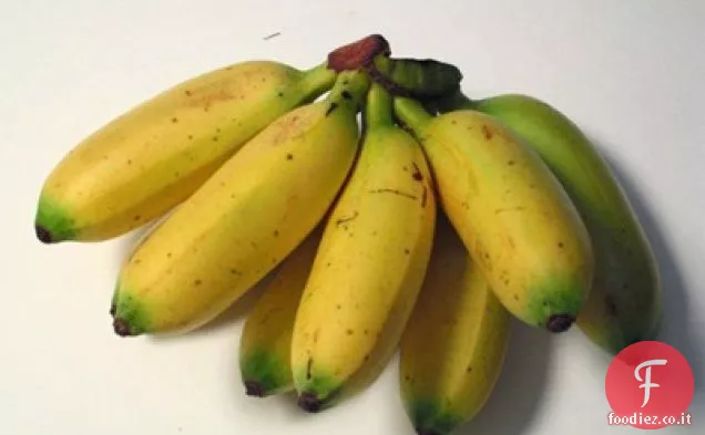 Piantaggine torrefatta di cocco