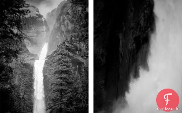 falò pollo arrosto con cipolla in fiore e aneto