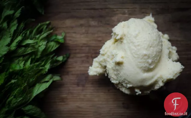 Gelato alla vaniglia e menta fresca