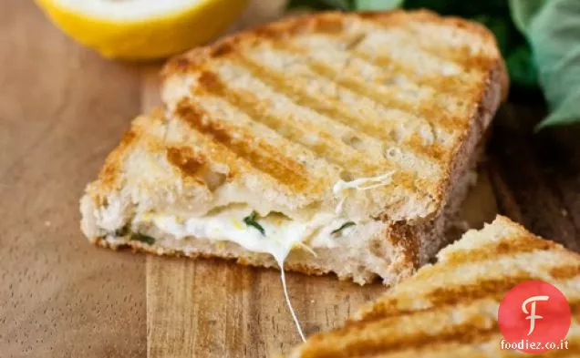 Panini al Limone e Basilico