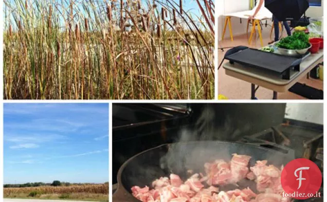 Kimchi grigliato formaggio + Giudicare il concorso Great Midwest formaggio grigliato