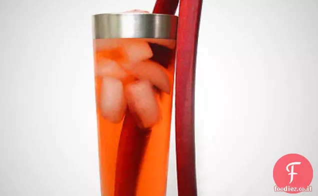 Rabarbaro Gin & Tonic