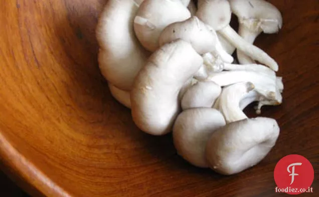 Linguine e salsa di funghi ostrica