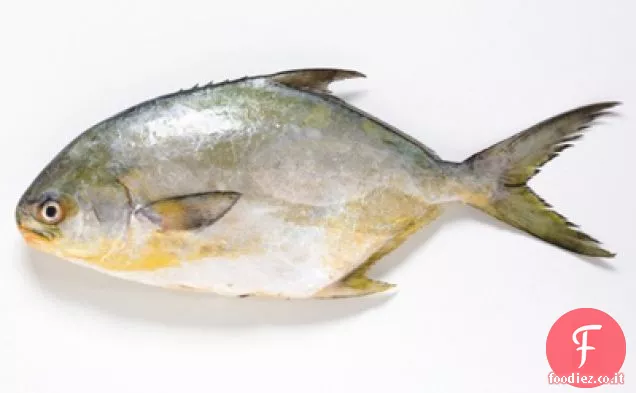 Pompano arrosto con salsa Avacado all'arancia rossa, burro di coriandolo e piantaggine speziata