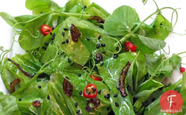 Insalata di viticcio di piselli con un condimento caldo di sesamo e peperoncino rosso