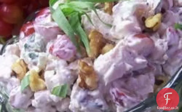 Dragoncello-Aneto insalata di pollo alla griglia