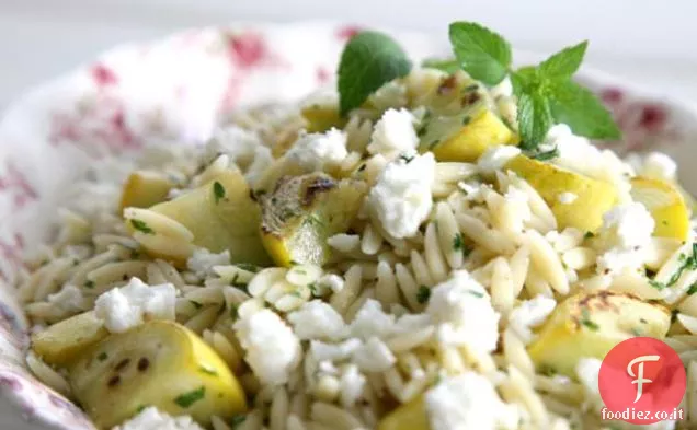 Zucca coniata Orzo