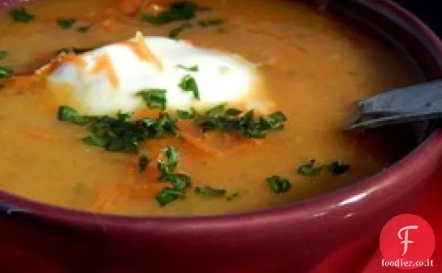Zuppa di carote Indienne I