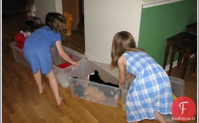 Farina d'avena sottile e gommosa