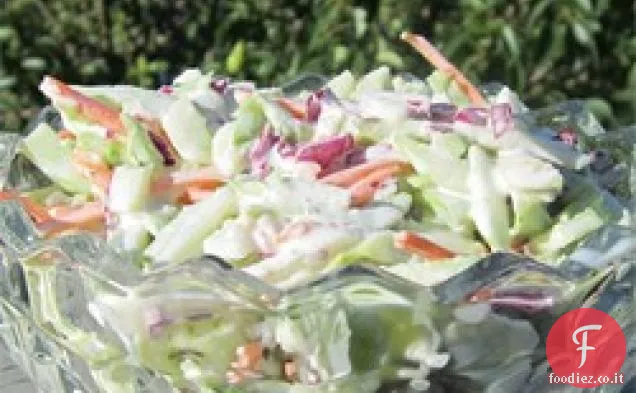 Yogurt greco Cole Slaw