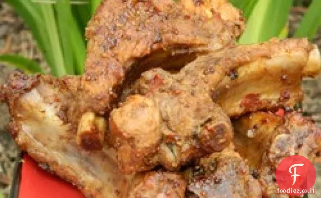 Bollito e al forno bambino indietro costole