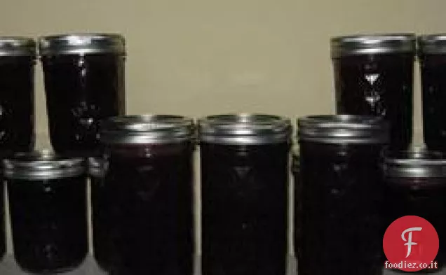 Come fare Concord gelatina d'uva