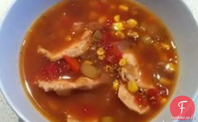 Zuppa di Tomatillo