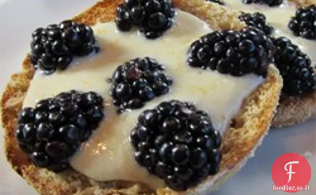 Crema spalmabile di Ricotta