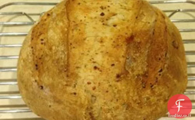 Pane Dilly