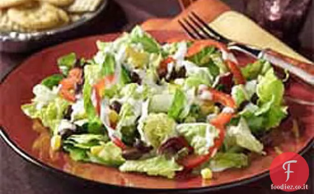 Insalata di verdure del sud-ovest