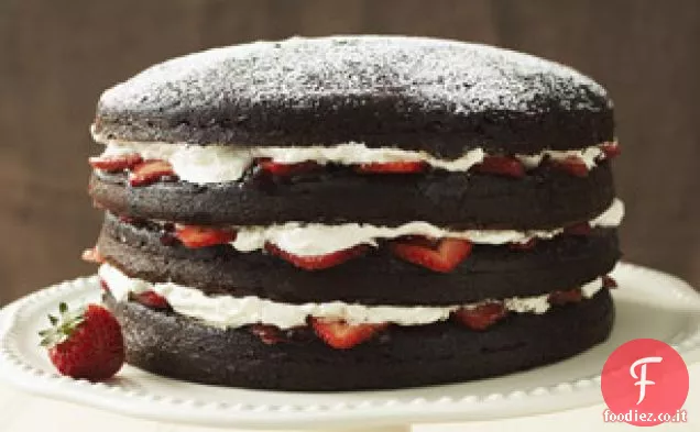 Torte a doppio strato di cioccolato