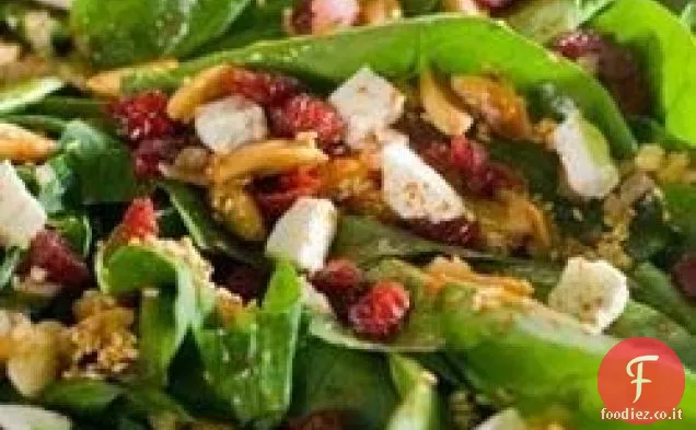Insalata di raccolta da Oikos®