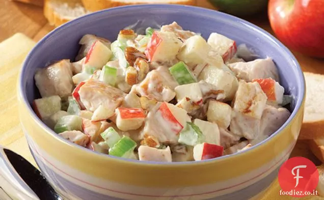 Insalata di pollo grosso e mela