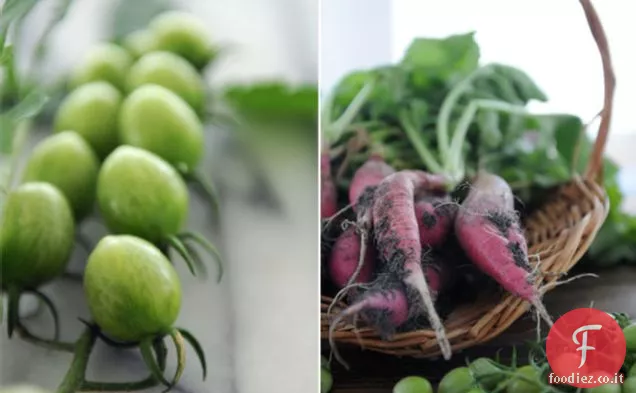 La prima salsa della stagione: Ravanello e pomodoro verde