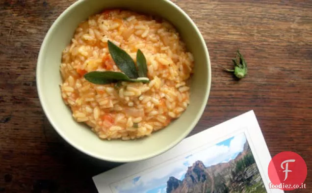 Risotto al Pomodoro e Salvia