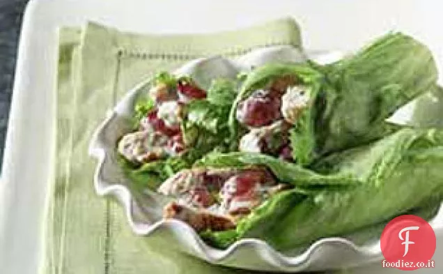 Facile insalata di pollo Lattuga Avvolge