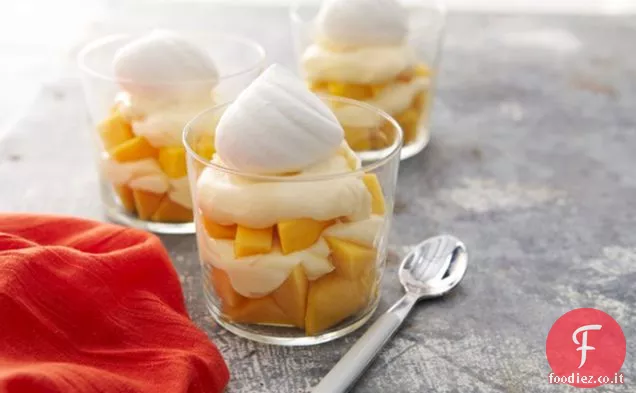 Semifreddi di Mango-Cheesecake