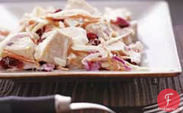 Insalata di Slaw di tacchino