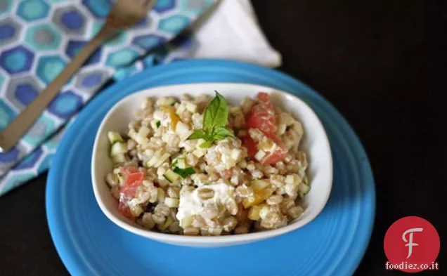 Insalata Estiva di Zucchine Farro con Burrata