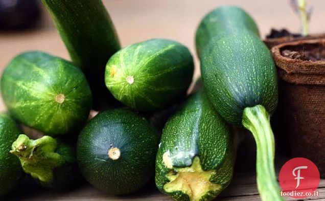 Pane di zucchine