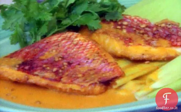 Filetto di snapper rosso fritto in padella con salsa creola alla crema di mais