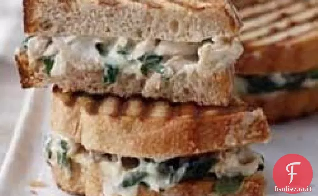 Alfredo Fiorentino Pollo Panini