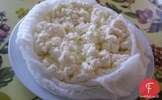 Formaggio fresco fatto in casa