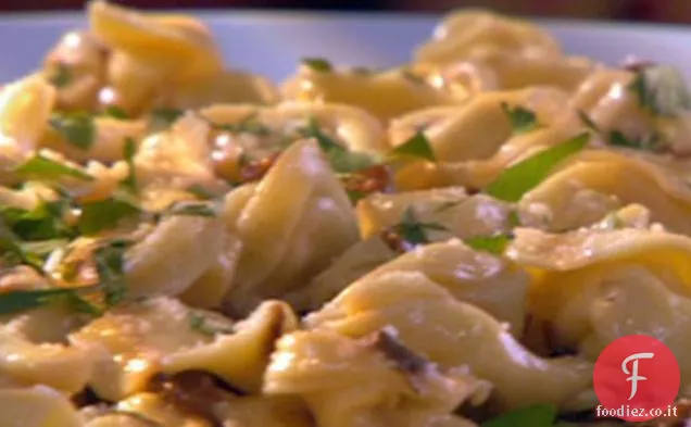 Tortellini al Formaggio con Sugo di Pecorino ai Porcini