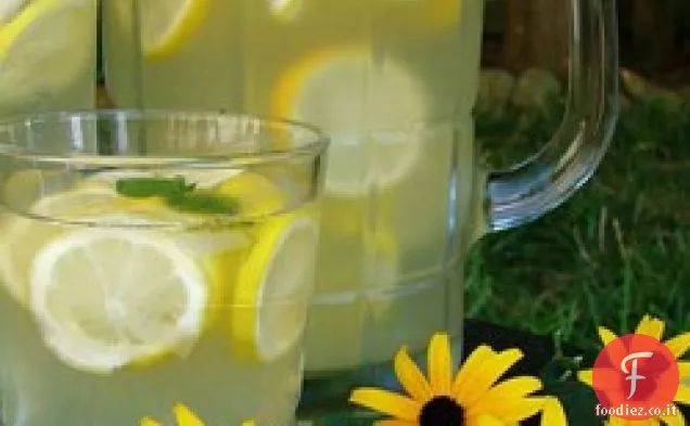 Festa Limonata