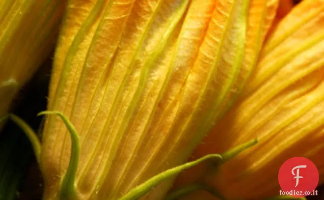 Frittata di fiori di zucca
