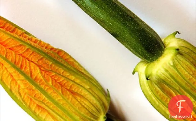 Fiori di Zucca ripieni