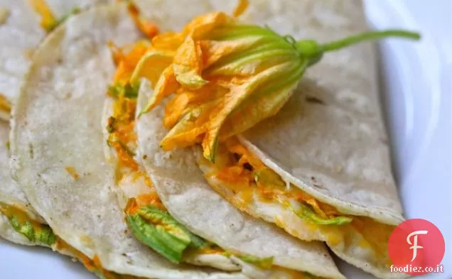 Quesadilla di fiori di zucca