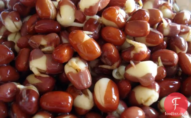 Adzuki Fagioli Quinoa Sesamo Pizza