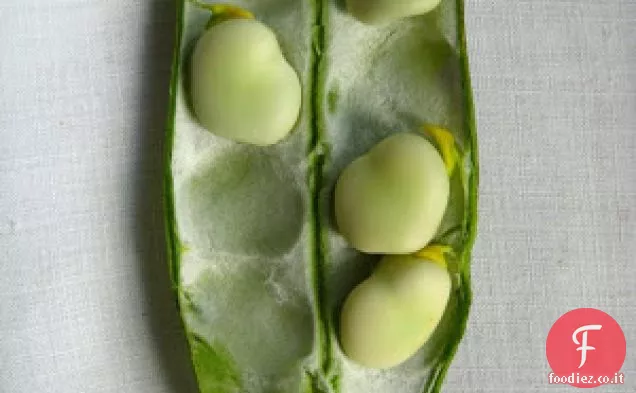 Insalata di Fave semplice