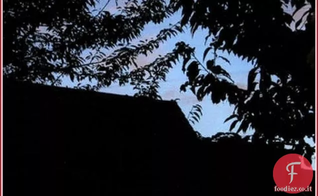 Habas Con Jamon (fave con prosciutto spagnolo)