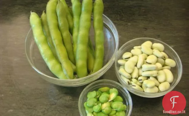 Stufato di fava di Eti