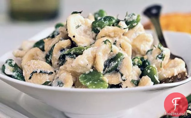 Orecchiette con Fave Fresche, Ricotta e Menta Tritata